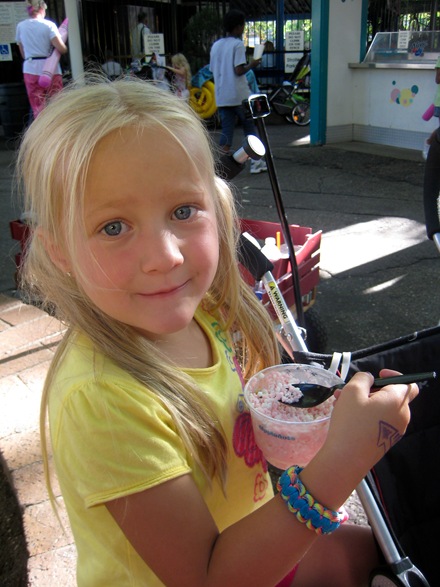 IMG_0118 IMG_0118