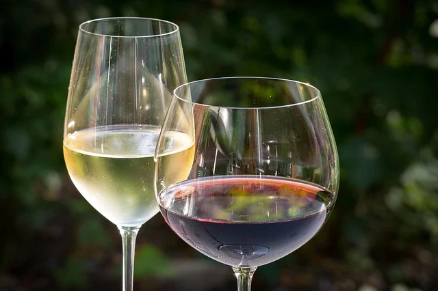 Red Wine vs. White Wine