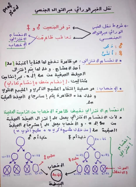 ملخصات دروس علوم الحياة و الارض الدورة الأولى السنة الثانية باكالوريا