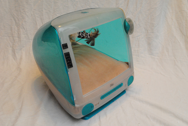 Upcycling: computador iMac colorido vira caminha para gato