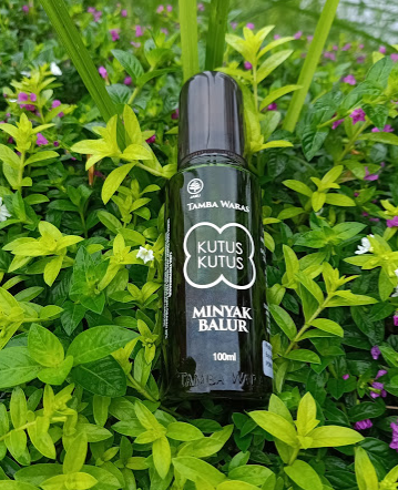 minyak kutus kutus herbal