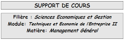 cours de management general s2 pdf