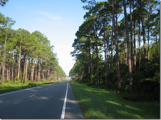 HWY98IMG_2450