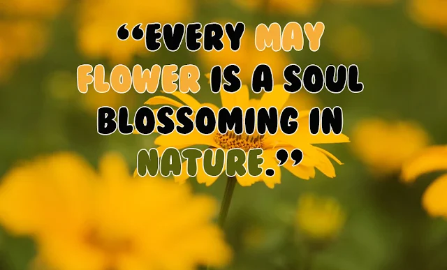 May flowers quotes