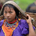 Cauca, Chocó y Nariño los departamentos que más recursos han recibido para indemnizar a más de 13 mil mujeres indígenas víctimas de la violencia