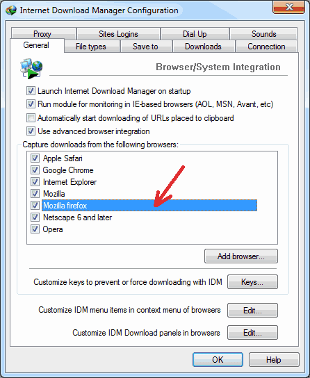 Panel Download IDM pada Mozilla FireFox