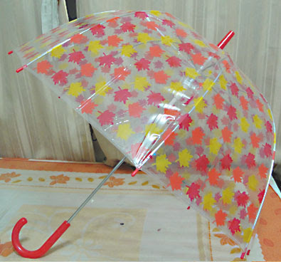 transparent dome umbrella