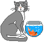 חתול ואקווריום עם דג