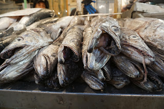 Quel choix de poissons !