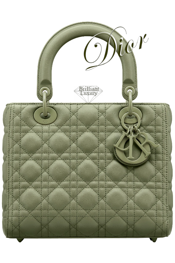 ♦Dior Lady Dior dusty jade ultramatte calfskin top handle bag #dior #bags #brilliantluxury