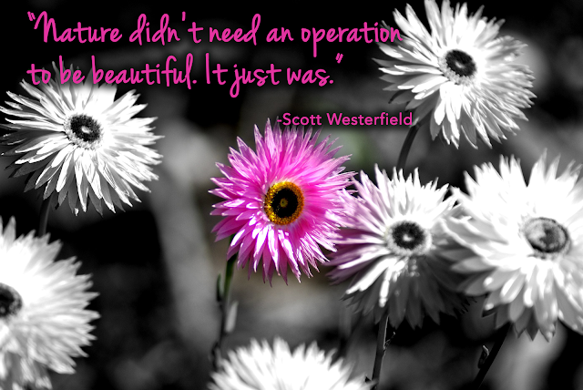 We all sometimes feel different than those around us. That feeling is a real feeling, and yet it also separates us from others and also from ourselves. When we actively feel different from those around us we isolate us and we look for differences. What happens then is that we may look to blame others or we reject others or we notice the things we don't like about them, and it becomes about them and not about us. Another way of saying this is that when we feel different we are feeling bad about ourselves and so look to put the blame on the other. We become a victim in those moments. We look to separate us rather than to possibly see what we don't like in the other person is actually what don't like in ourselves. Have you ever found yourself doing something like that?  I think we all have at some time or other blamed others rather than look at us,  and some of us more than others. I had an experience recently which now when I look back at it, is kind of funny. I do a weekly workout with a group called Gyrotonics. It is like a three-dimensional pilates that has machines with pulleys and weights and has a bench and a type of equipment with a handle bar type thing which we use to move our bodies through many dimensions of twisting, extension, flexion, rotating and bending. In my experience with machines and equipment, my body doesn’t seem to fit the normal mode of operating. I had struggled to try to find the right settings on these machines for quite awhile, sometimes finding a setting that works for awhile, and  then doesn't, until I got to the point where nothing seemed to be working and I got frustrated.   When I became frustrated I began to look at my body with frustration. I saw my arms as too short, my legs as too short, my body as too muscular, and I began a little spiral in a direction I wasn’t happy with. My instructor saw my frustration and realized that something was not working for me. She found some extra time for us to just explore settings and ways in which we could work and I could work where Gyrotonics was a good experience for me again. We eventually found a way of working which was not of the norm in terms of how most people could us the equipment, but worked for me very well. I began to feel good again in this workout.  What was interesting for me was how one of my central early wounds contributed to my frustration in this experience. In my early life, I often felt different and felt excluded by those I loved and those I wanted to love me. I hadn't fully realized the impact of feeling excluded by a sister and brother in my early life. What contributed to this was our mother's self-preoccupation through her depression and my father's blindness as to what was going on. My go to, poor me, mode is to feel different than others and so sometimes excluded. I began to go into that mode unconsciously as I was using the Gyrotonics machines and my body didn't fit the normal mode. I began to reject myself and feel bad about my differences. In those moments things were only about me in a negative way and I had trouble pulling out of that way of feeling and being into seeing myself as different in a good way; my way. It is a good way because it is appreciating me and my differences instead of feeling bad about them. In my old brain and mind, being different was a bad thing because then I was excluded and I was and felt alone and left out. Putting these things together helped my to further my love and understanding of myself and to see the cool things about me being different. My muscularity makes me strong and able to do my work. The length of my arms and legs are proportional to my body. I am just small. I then remembered an old nickname someone coined for me. It is the mighty mouse. Being different can make all of us mighty each in our own ways.  Shift Your Story/Shift Your Life I love using writing as a tool for self-discovery. You can do this exercise through meditation, and visualization, or through writing…whichever works best for you. Either close your eyes and begin to focus on your breath, or take out your tablet and pen or paper and pen and begin to write. The focus is on how you feel different from others. Take a moment and see or write about what and when you have felt different and removed from others in some way. What was going on in your life, what was said to you or you felt implied or you just felt? See yourself in that time and place and feel what that was like for you. Now, take a step back and see yourself as a hawk looking down at the same scenario and with a deeper and fuller perspective, taking in those around you instead of just you, being open to a view which includes others, and sees what you see and feel and notice. Write it down or just visualize. Is there something else going on, or not. What, if anything, do you begin to see and understand? Take a moment with this.  Next, take a moment and imagine and see what is there for you to learn about yourself and possibly about others. What do you see about you? Do you tend to revel in the poor me feeling, do you resent others and yourself, do you give up a part of you to try to please others not liking how you feel different, and in this vein, what do you see for yourself? After you are with this for a bit, take yourself into the present and when you begin to feel different, what if anything, could you do differently…could you talk with yourself differently, could you see what was going on with others that contributed to your feeling, is this a pattern you see that repeats in your life, is there a new way you can relate to yourself? See this, and/or write down what comes to you. Be with it for a couple of minutes and then slowly open your eyes or slowly finish what you are writing. The last step is to take about 5 minutes to go over in your minds eye what you experienced, or to read over what you have written.