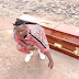 Kenyan artiste acquires his own coffin