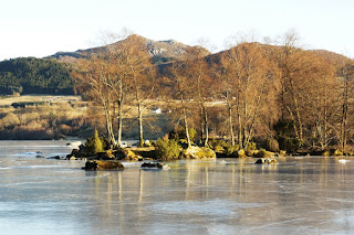 Stavanger