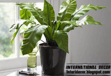 artificial plants for home decorating