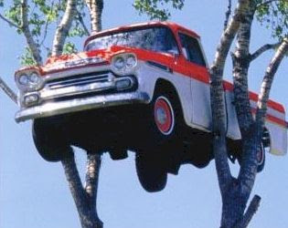 car on tree, weird cars