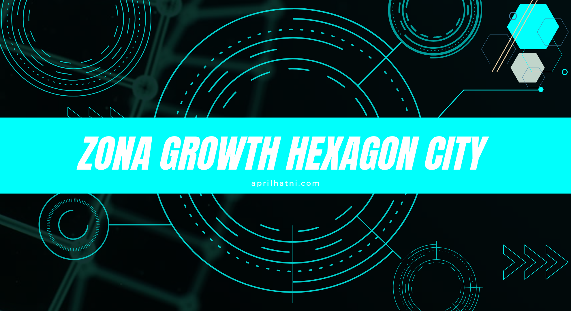 zona growth hexagon city