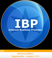 Internet Business Promoter 11.6