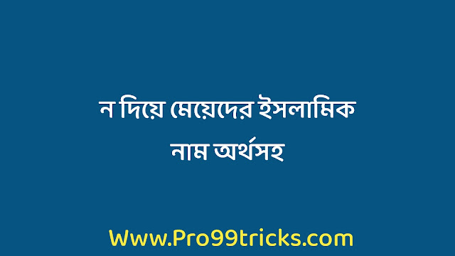 ন দিয়ে মেয়েদের ইসলামিক নাম অর্থসহ