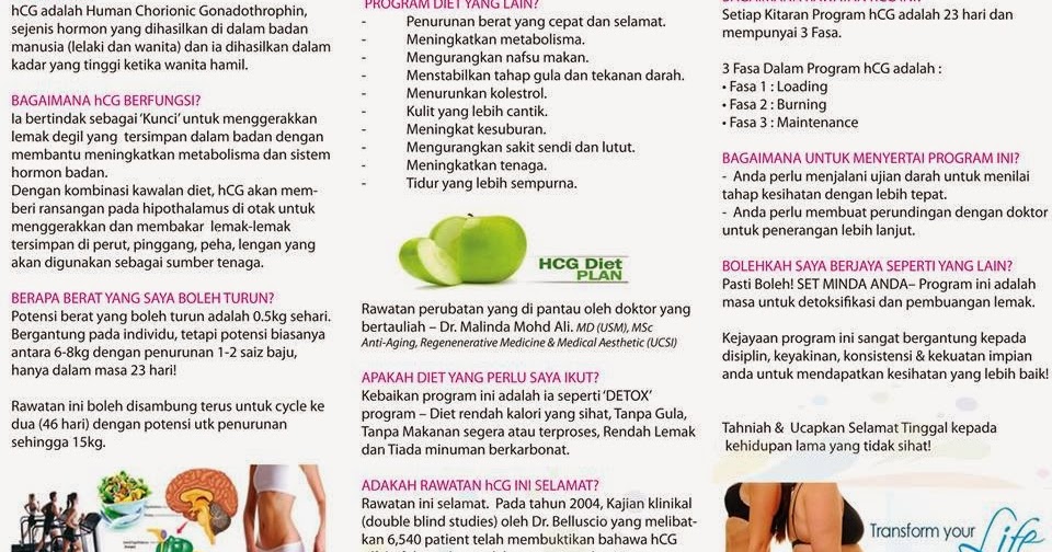 Moh Masak: HCG DieT PLaN