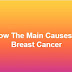 Know The Main Causes Of Breast Cancer
