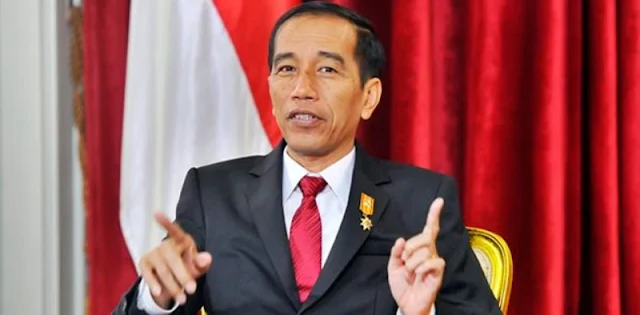 Rico Marbun: Sulit Membayangkan Joko Widodo Ambil Posisi Ketua Umum PDIP