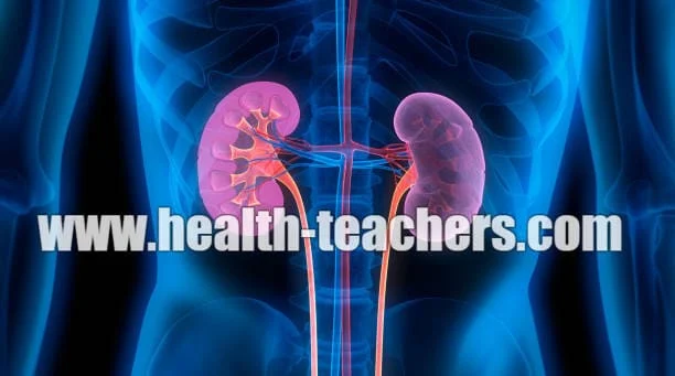 Is it possible for a person to live without both kidneys?