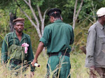 “Renamo veste fato no Parlamento e mata civis e militares no país”