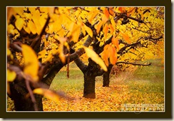 Fall3