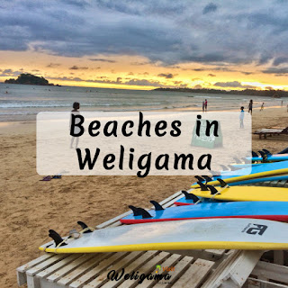 Beaches in Weligama | Things to Do & See in Weligama