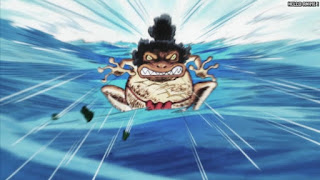 ワンピース アニメ ウォーターセブン編 263話 ヨコヅナ | ONE PIECE Episode 263 Water 7