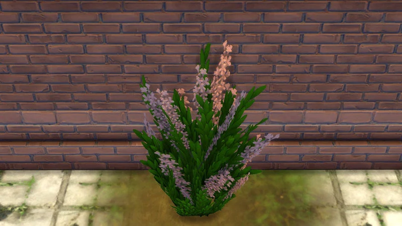 The Sims 4 Outdoor Plants