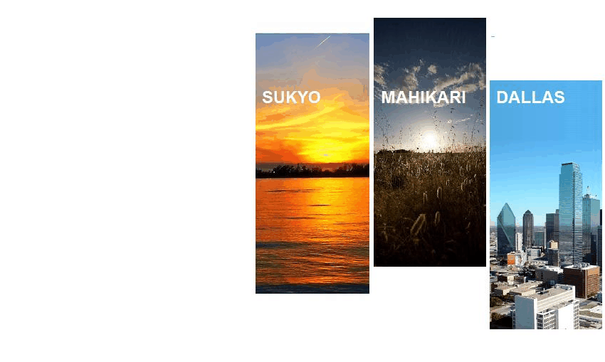 SUKYO MAHIKARI DALLAS
