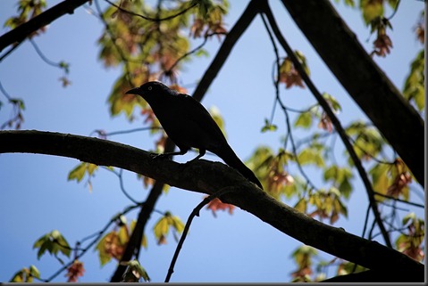 Pittsburgh Zoo 15