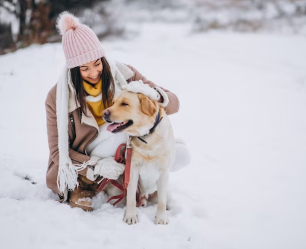 Taking a dog out in the snow