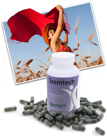 An Extraordinary Supplement Stemtech AFA Extract, STEM CELL ADULT, NUTRITION STEM CELL