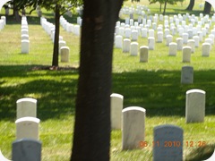 DSCN8768