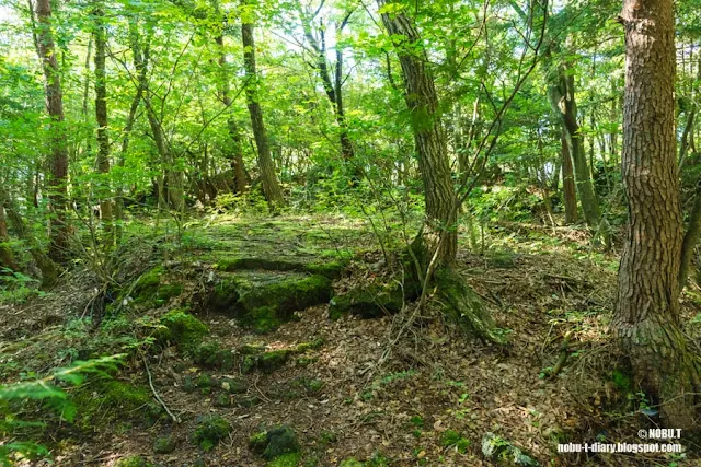 鳴沢の溶岩樹型