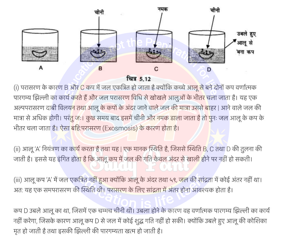 Class 9th NCERT Science Chapter 5 | The Fundamental Unit of Life | क्लास 9 विज्ञान अध्याय 5 | जीवन की मौलिक इकाई | सभी प्रश्नों के उत्तर