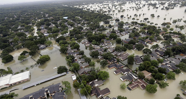 Por la emergencia climática, de manera inmediata