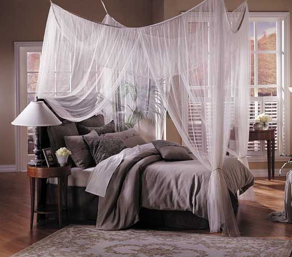 This is the mosquito net type of canopy. I think it still looks good ...