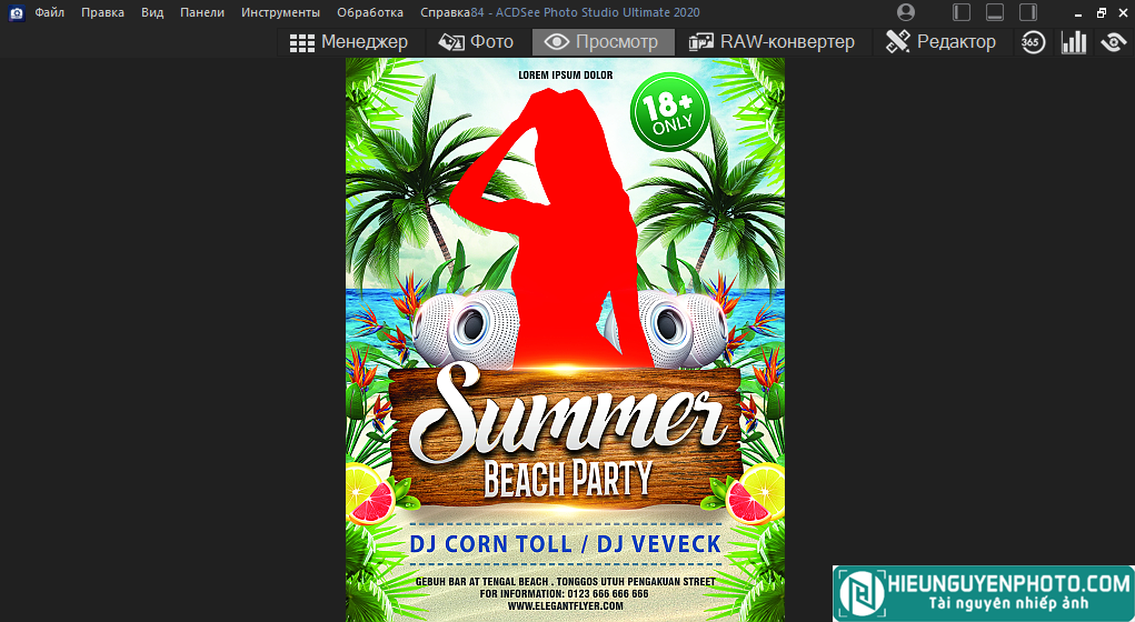 Summer Beach Party Flyer