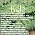 The Amazing Kale