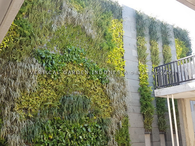 VERTICAL GARDEN INDONESIA SPESIALIS JASA PEMBUATAN VERTICAL GARDEN DI SIDOARJO DAN DI SELURUH WILAYAH SIDOARJO DENGAN TENAGA YANG PROFESIONAL DAN DAPAT DI PERCAYA YANG SELALU MENGUTAMAKAN SEBUAH MUTU DAN KUALITAS PEMASANGAN VERTICAL GARDEN/TAMAN DINDING, JASA TUKANG TAMAN VERTICAL SIDOARJO, JASA VERTICAL GARDEN SIDOARJO