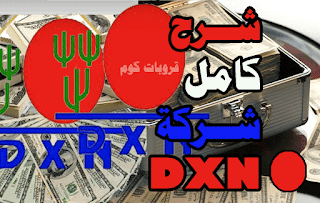 كيفية العمل في شركة DXN