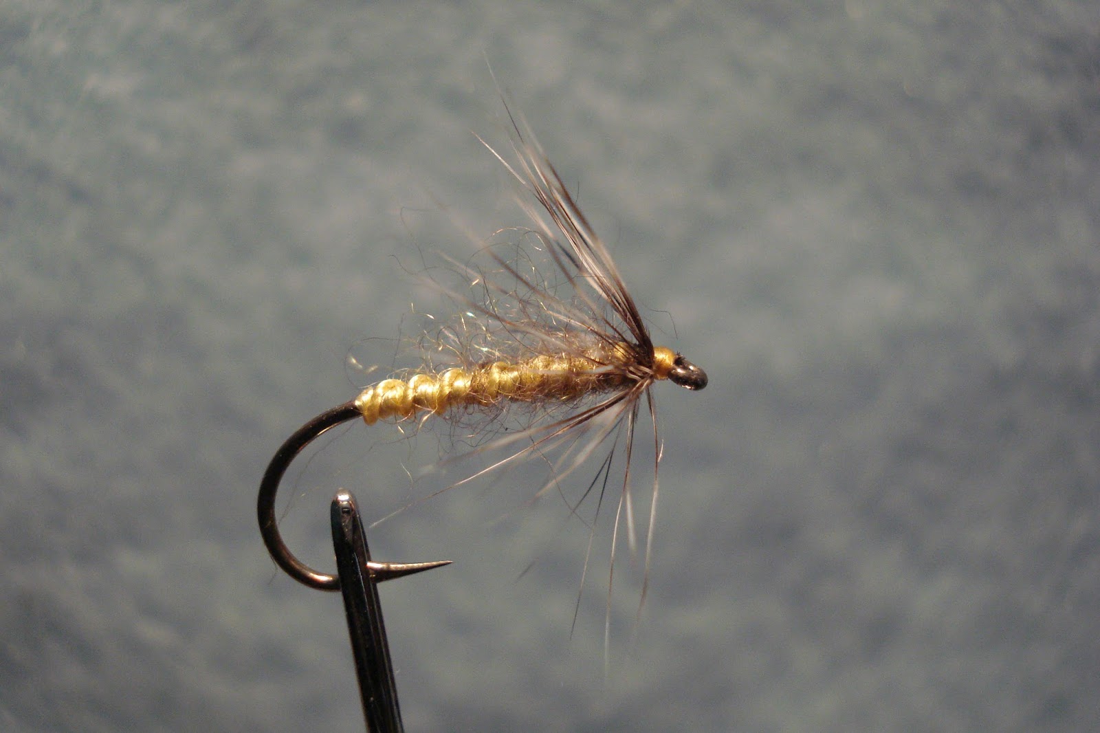 SOFT HACKLES, TIGHT LINES: Stone Fly; Stone Flye or Flie; and, the