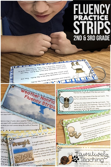 Fluency Practice Strips Bundle ~ Perfect for 2nd & 3rd Grade