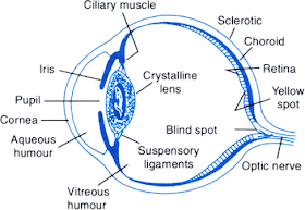 Simple eye diagrams | Easy eye diagram | Labeled eye diagram