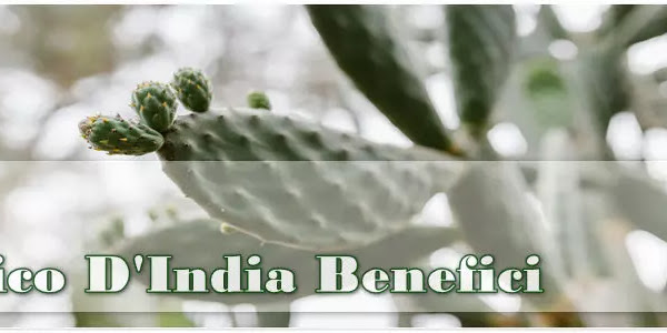 Fico D India Benefici