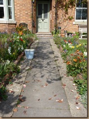 garden colours 003