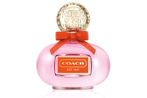 Dica de Perfume - Coach Poppy - Coach